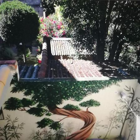 Suite Oisivete Avec Terrasse Vue Sur Patio Et Clim Montpellier Luaran gambar